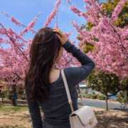 ヒメ日記 2026/03/03 12:36 投稿 ひめか★ 新潟風俗 Cherish Amulet