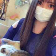 ヒメ日記 2025/03/18 10:17 投稿 ごま 土浦ハッピーマットパラダイス