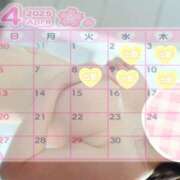 ヒメ日記 2025/04/02 14:27 投稿 ごま 土浦ハッピーマットパラダイス