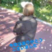 ヒメ日記 2024/12/31 21:31 投稿 りつ 深海魚