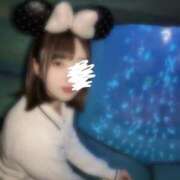 ヒメ日記 2025/03/29 17:21 投稿 りつ 深海魚