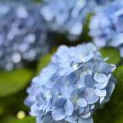 ヒメ日記 2025/07/03 23:52 投稿 もえ 実録！おとなのわいせつ倶楽部