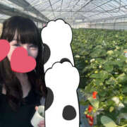 ヒメ日記 2025/02/17 13:20 投稿 桐谷 上野CLUB A(クラブ エー)