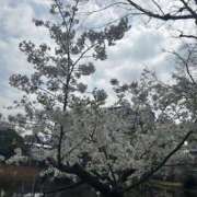 ヒメ日記 2025/03/27 19:50 投稿 桐谷 上野CLUB A(クラブ エー)