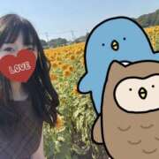 ヒメ日記 2025/09/03 10:31 投稿 桐谷 上野CLUB A(クラブ エー)