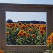 ヒメ日記 2025/10/01 14:10 投稿 桐谷 上野CLUB A(クラブ エー)