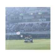 ヒメ日記 2025/03/03 10:22 投稿 ゆな One More奥様　立川店