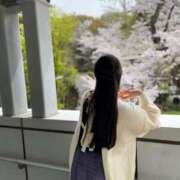 ヒメ日記 2025/04/09 12:23 投稿 ともみさん いけない奥さん 十三店