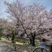 ヒメ日記 2025/04/13 23:38 投稿 ともみさん いけない奥さん 梅田店