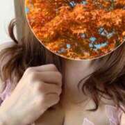 ヒメ日記 2024/12/15 07:27 投稿 ましろ(昭和58年生まれ) 熟年カップル名古屋～生電話からの営み～