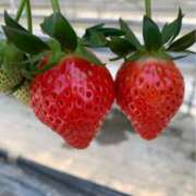 ヒメ日記 2025/02/24 08:56 投稿 ましろ(昭和58年生まれ) 熟年カップル名古屋～生電話からの営み～