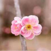 ヒメ日記 2025/02/25 09:05 投稿 ましろ(昭和58年生まれ) 熟年カップル名古屋～生電話からの営み～