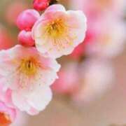 ヒメ日記 2025/02/26 09:31 投稿 ましろ(昭和58年生まれ) 熟年カップル名古屋～生電話からの営み～