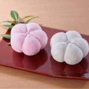 ヒメ日記 2025/03/11 09:38 投稿 ましろ(昭和58年生まれ) 熟年カップル名古屋～生電話からの営み～