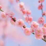 ヒメ日記 2025/03/11 12:01 投稿 ましろ(昭和58年生まれ) 熟年カップル名古屋～生電話からの営み～