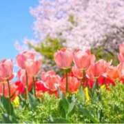 ヒメ日記 2025/03/25 09:16 投稿 ましろ(昭和58年生まれ) 熟年カップル名古屋～生電話からの営み～