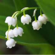 ヒメ日記 2025/03/26 09:10 投稿 ましろ(昭和58年生まれ) 熟年カップル名古屋～生電話からの営み～