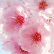 ヒメ日記 2025/03/27 16:25 投稿 ましろ(昭和58年生まれ) 熟年カップル名古屋～生電話からの営み～