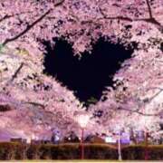 ヒメ日記 2025/04/03 12:15 投稿 ましろ(昭和58年生まれ) 熟年カップル名古屋～生電話からの営み～