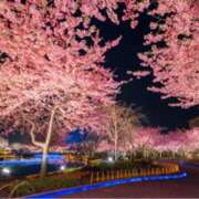 ヒメ日記 2025/04/04 19:31 投稿 ましろ(昭和58年生まれ) 熟年カップル名古屋～生電話からの営み～