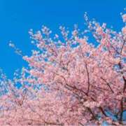 ヒメ日記 2025/04/05 09:31 投稿 ましろ(昭和58年生まれ) 熟年カップル名古屋～生電話からの営み～