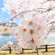 ヒメ日記 2025/04/05 13:47 投稿 ましろ(昭和58年生まれ) 熟年カップル名古屋～生電話からの営み～