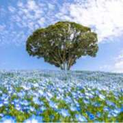 ヒメ日記 2025/04/23 08:51 投稿 ましろ(昭和58年生まれ) 熟年カップル名古屋～生電話からの営み～