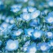 ヒメ日記 2025/04/25 09:56 投稿 ましろ(昭和58年生まれ) 熟年カップル名古屋～生電話からの営み～