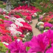 ヒメ日記 2025/04/29 10:44 投稿 ましろ(昭和58年生まれ) 熟年カップル名古屋～生電話からの営み～