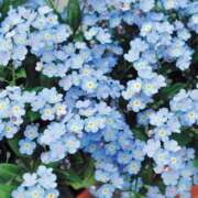 ヒメ日記 2025/05/17 10:11 投稿 ましろ(昭和58年生まれ) 熟年カップル名古屋～生電話からの営み～