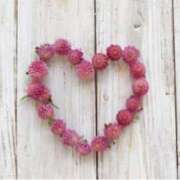 ヒメ日記 2025/05/18 11:43 投稿 ましろ(昭和58年生まれ) 熟年カップル名古屋～生電話からの営み～