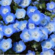 ヒメ日記 2025/05/22 12:08 投稿 ましろ(昭和58年生まれ) 熟年カップル名古屋～生電話からの営み～