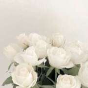 ヒメ日記 2025/05/26 10:05 投稿 ましろ(昭和58年生まれ) 熟年カップル名古屋～生電話からの営み～