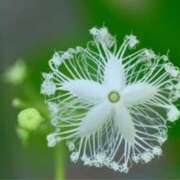 ヒメ日記 2025/05/26 12:13 投稿 ましろ(昭和58年生まれ) 熟年カップル名古屋～生電話からの営み～