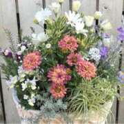 ヒメ日記 2025/05/29 12:40 投稿 ましろ(昭和58年生まれ) 熟年カップル名古屋～生電話からの営み～