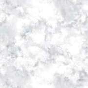 ヒメ日記 2025/06/04 08:57 投稿 ましろ(昭和58年生まれ) 熟年カップル名古屋～生電話からの営み～