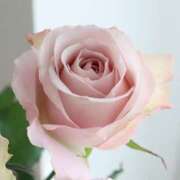 ヒメ日記 2025/06/12 16:57 投稿 ましろ(昭和58年生まれ) 熟年カップル名古屋～生電話からの営み～