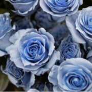 ヒメ日記 2025/06/13 14:07 投稿 ましろ(昭和58年生まれ) 熟年カップル名古屋～生電話からの営み～