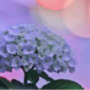 ヒメ日記 2025/06/16 10:51 投稿 ましろ(昭和58年生まれ) 熟年カップル名古屋～生電話からの営み～