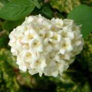 ヒメ日記 2025/06/18 15:39 投稿 ましろ(昭和58年生まれ) 熟年カップル名古屋～生電話からの営み～