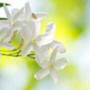 ヒメ日記 2025/06/18 16:28 投稿 ましろ(昭和58年生まれ) 熟年カップル名古屋～生電話からの営み～