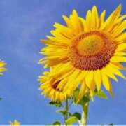 ヒメ日記 2025/06/23 09:27 投稿 ましろ(昭和58年生まれ) 熟年カップル名古屋～生電話からの営み～