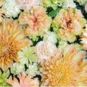 ヒメ日記 2025/06/29 21:41 投稿 ましろ(昭和58年生まれ) 熟年カップル名古屋～生電話からの営み～