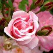 ヒメ日記 2025/07/01 13:39 投稿 ましろ(昭和58年生まれ) 熟年カップル名古屋～生電話からの営み～