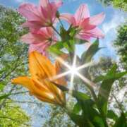 ヒメ日記 2025/07/01 19:32 投稿 ましろ(昭和58年生まれ) 熟年カップル名古屋～生電話からの営み～