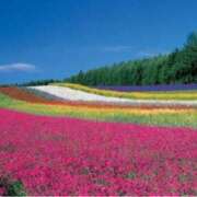 ヒメ日記 2025/07/02 08:01 投稿 ましろ(昭和58年生まれ) 熟年カップル名古屋～生電話からの営み～