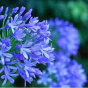 ヒメ日記 2025/07/12 10:15 投稿 ましろ(昭和58年生まれ) 熟年カップル名古屋～生電話からの営み～