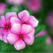 ヒメ日記 2025/07/12 14:50 投稿 ましろ(昭和58年生まれ) 熟年カップル名古屋～生電話からの営み～