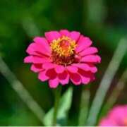 ヒメ日記 2025/07/12 15:05 投稿 ましろ(昭和58年生まれ) 熟年カップル名古屋～生電話からの営み～