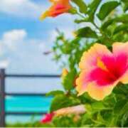 ヒメ日記 2025/07/18 11:38 投稿 ましろ(昭和58年生まれ) 熟年カップル名古屋～生電話からの営み～